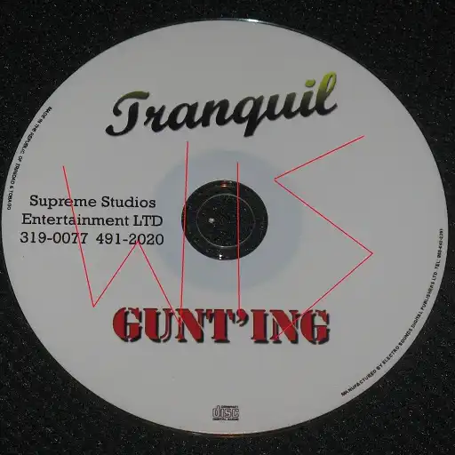 Tranquil - Gunt'ing