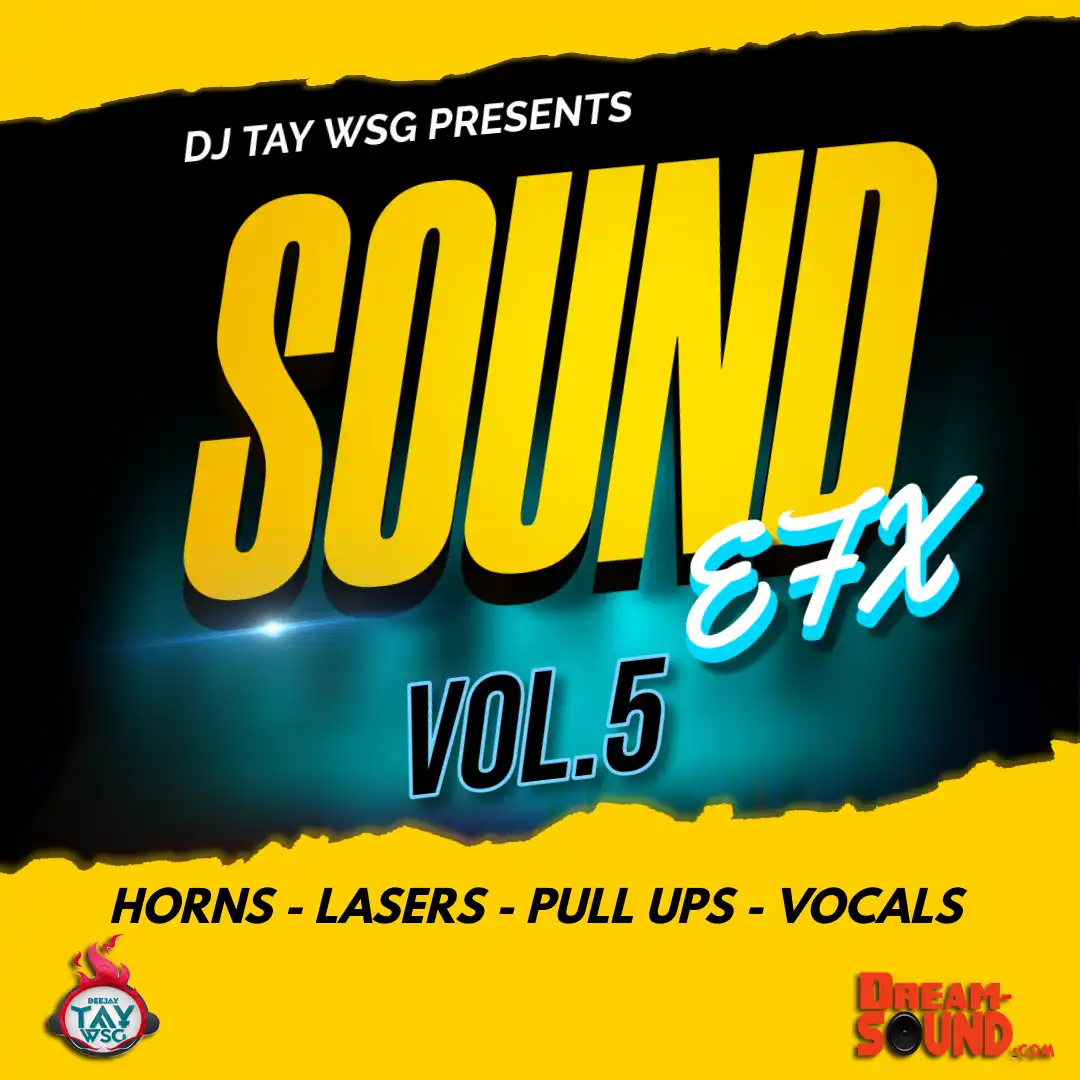 Sound Effects 2024 - DJ Tay Wsg - Sound Efx 5 (EFX 2024)