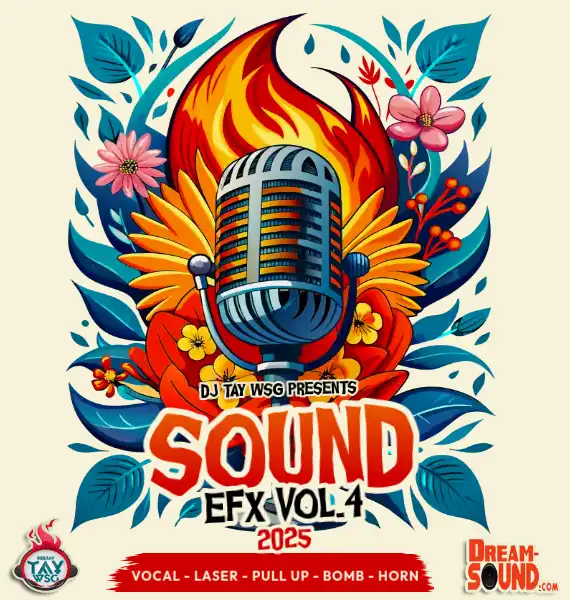 DJ Tay Wsg - Sound EFX Vol. 4 (Sound Effect 2025)