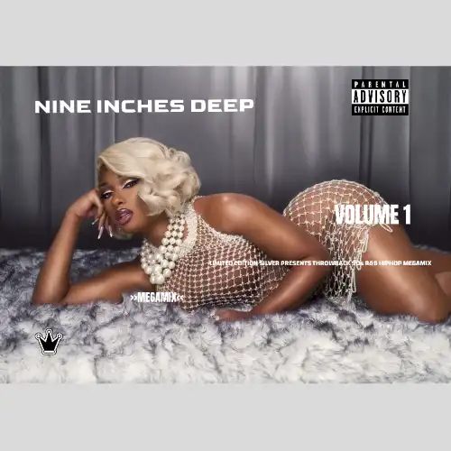 Silver Limited Edition - Nine Inches Deep Vol. 1 (Mix 2025)