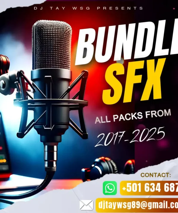 DJ Tay Wsg - Bundle - All Packs of Sound EFX 2017-2025