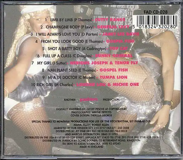 Fever Pitch Riddim - 1993