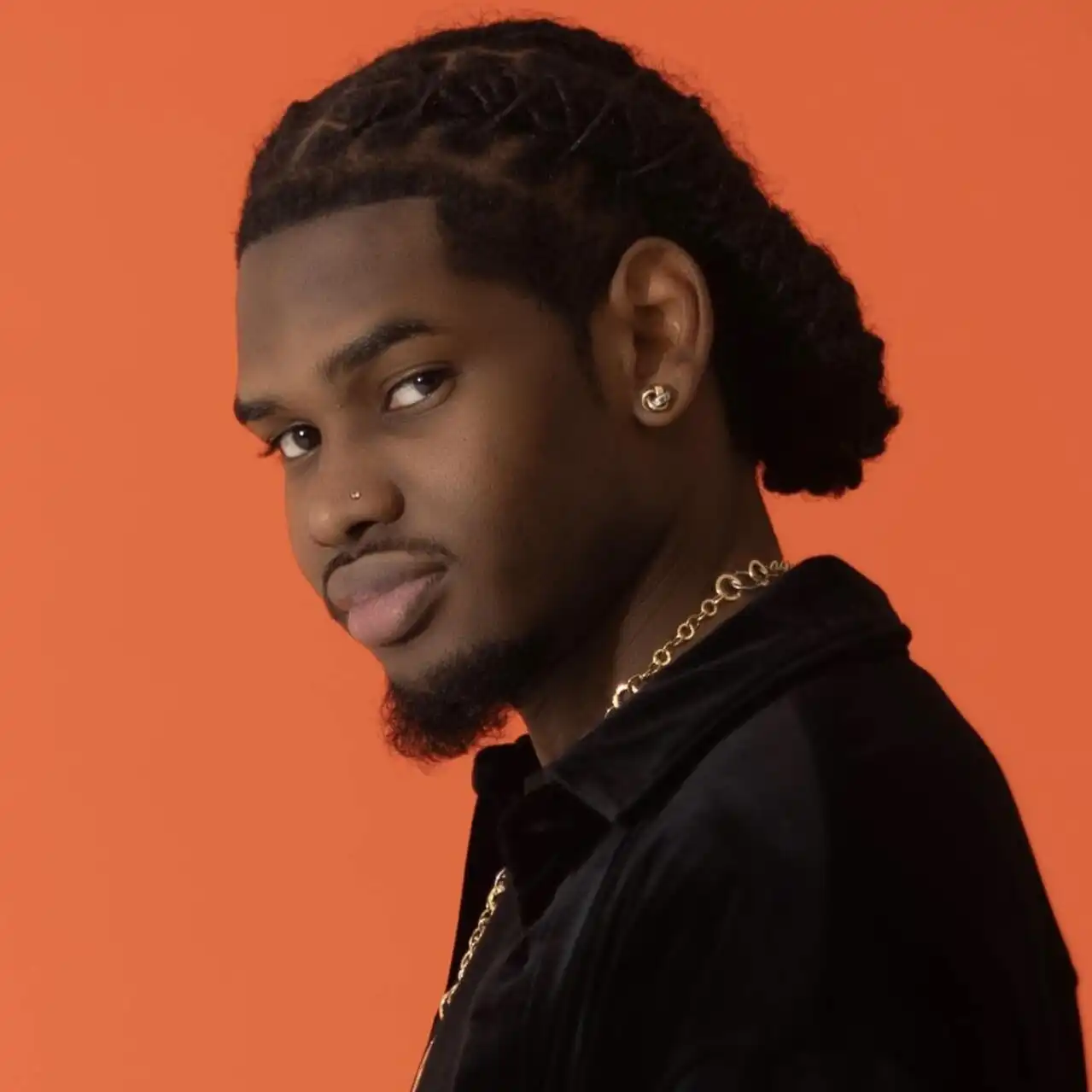 1T1 Biography n Videography Dream Sound Media